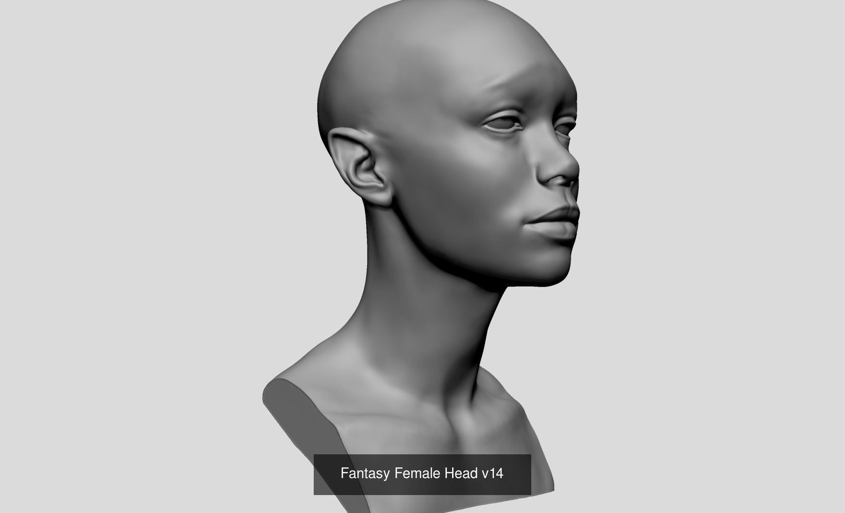 Female Head Collection v4  _44