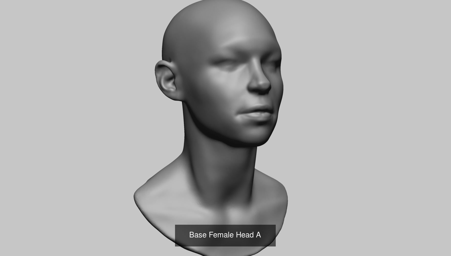 Female Head Collection v4  _64