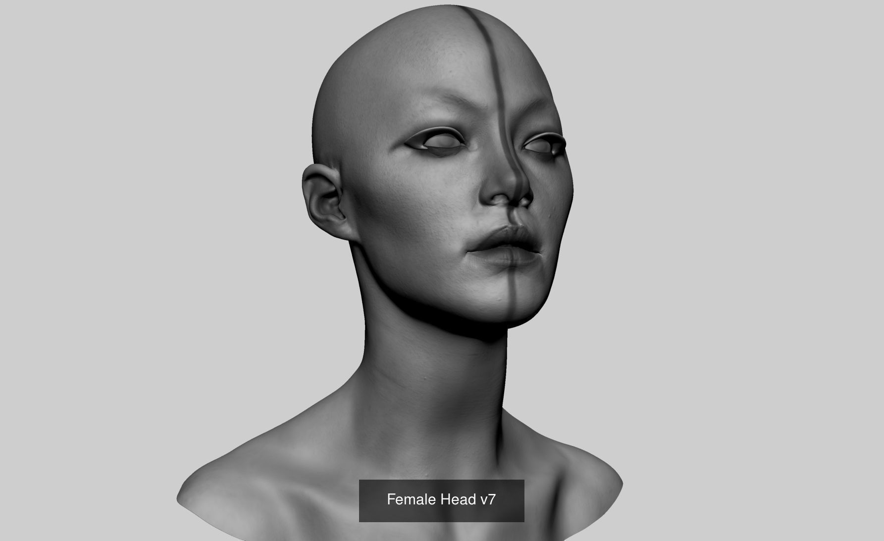 Female Head Collection v4  _12