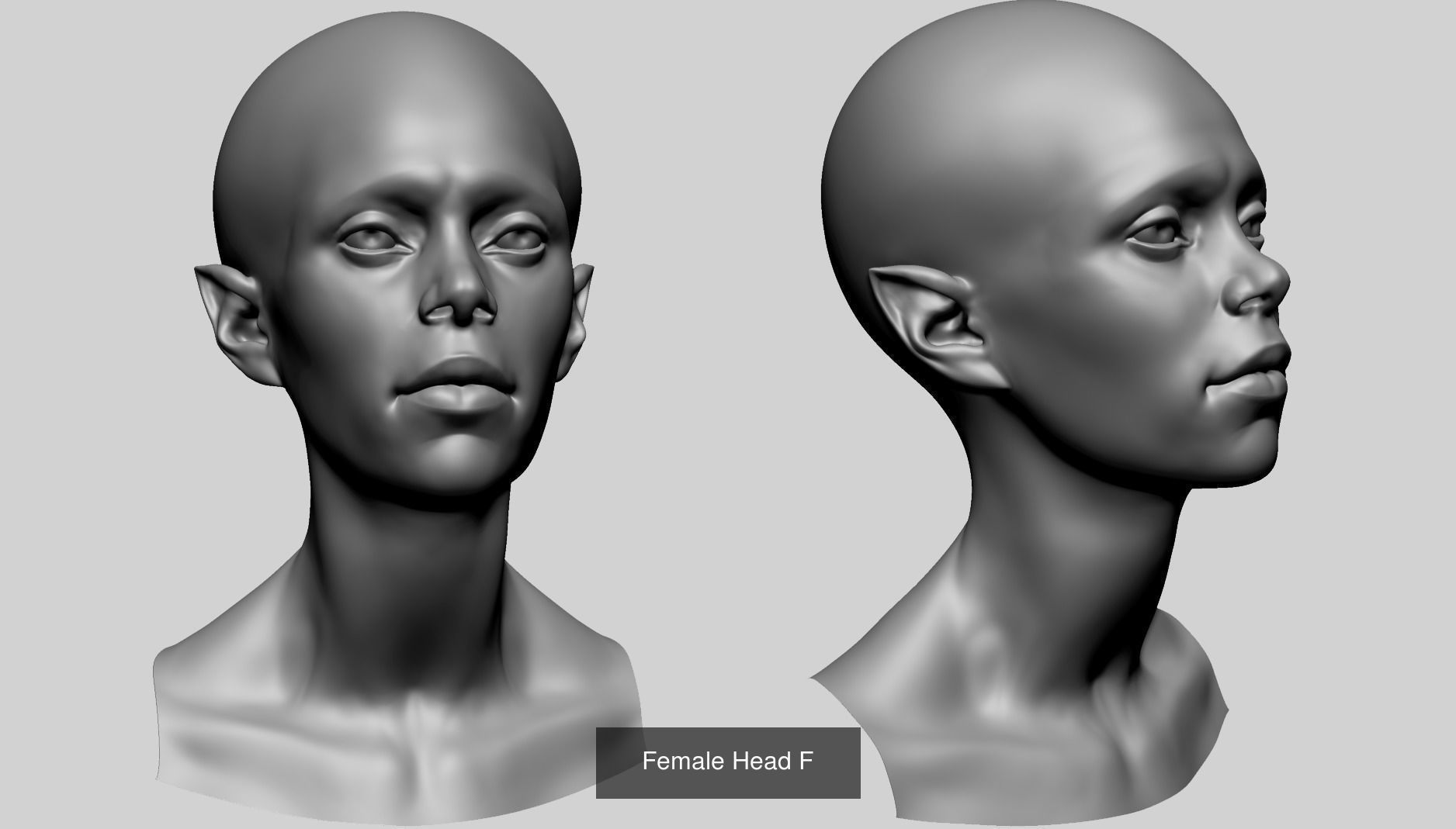 Female Head Collection v4  _103