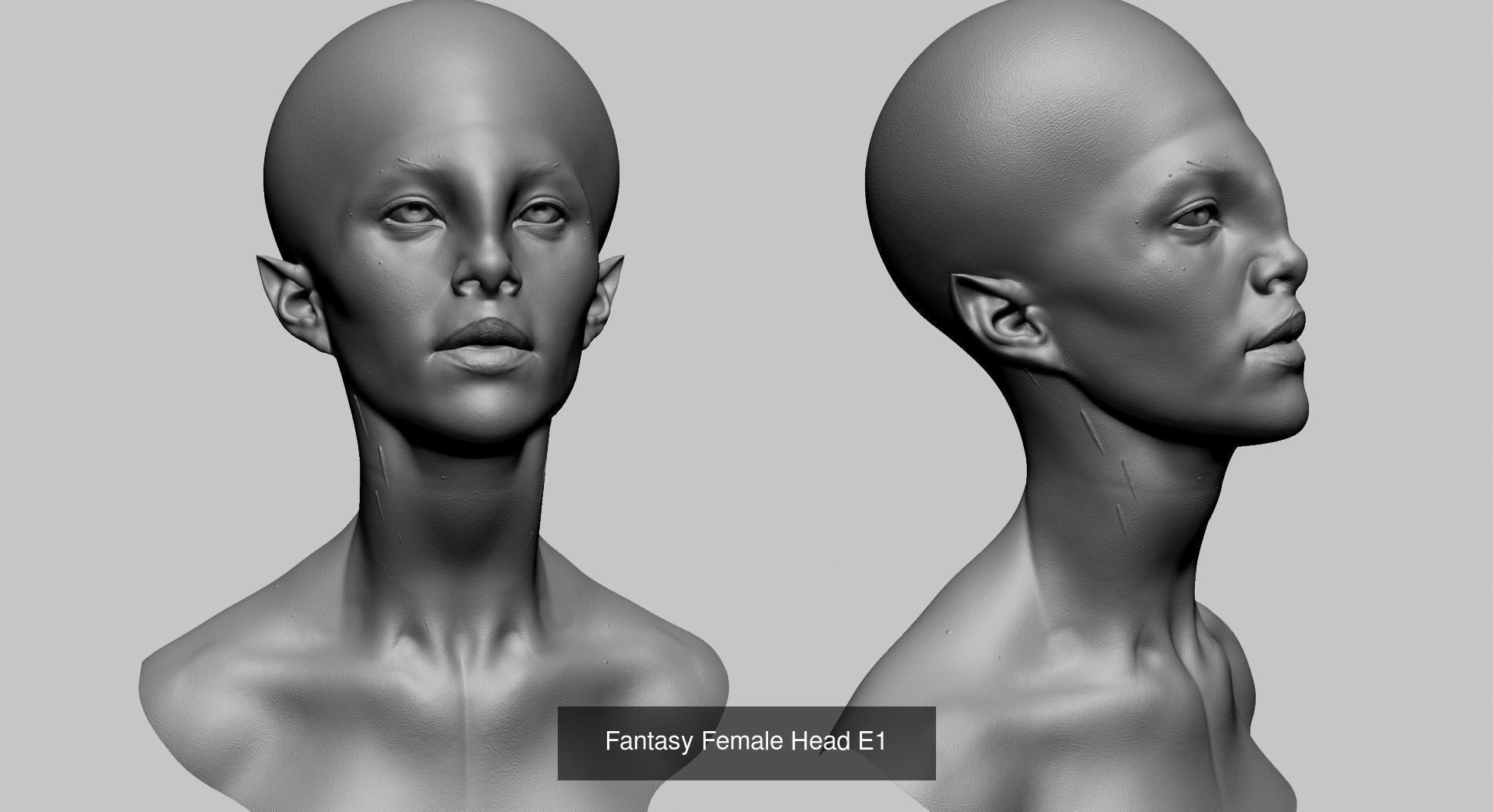 Female Head Collection v4  _100