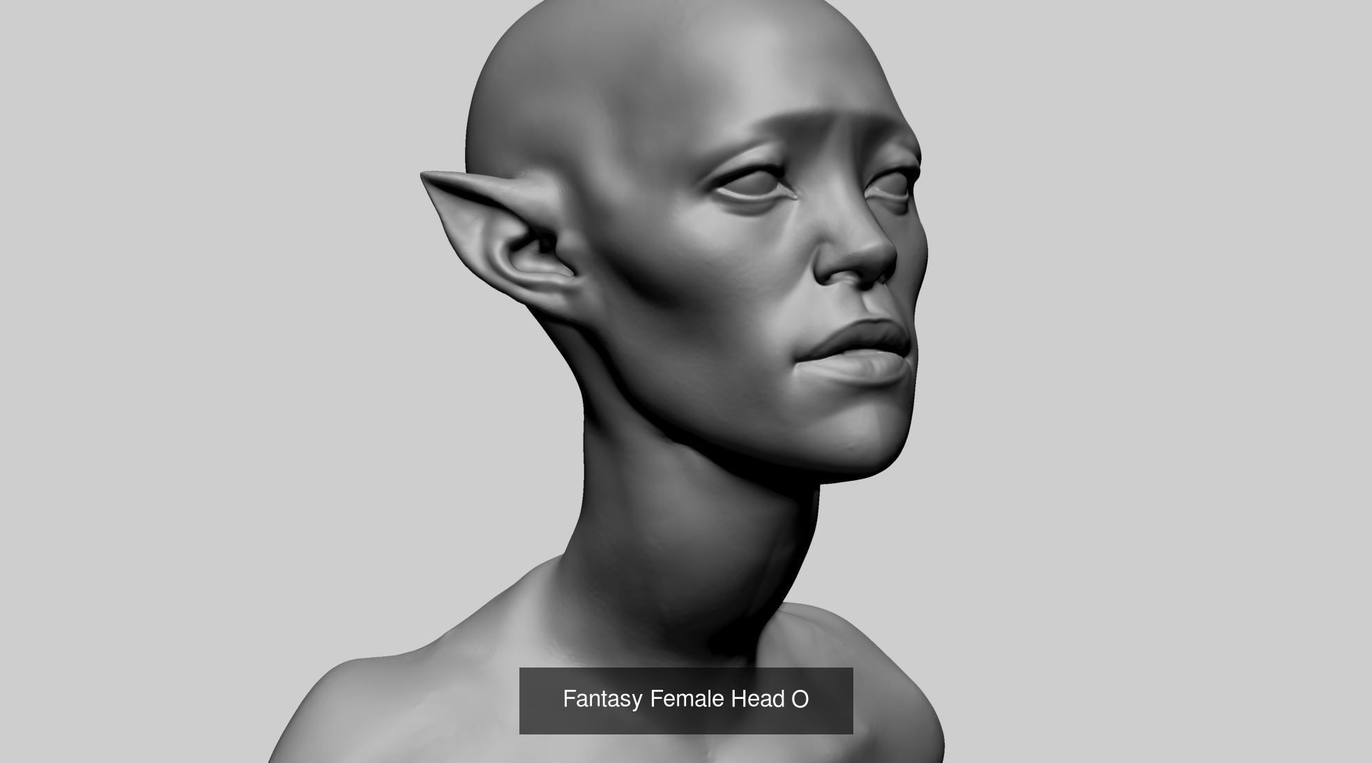 Female Head Collection v4  _86