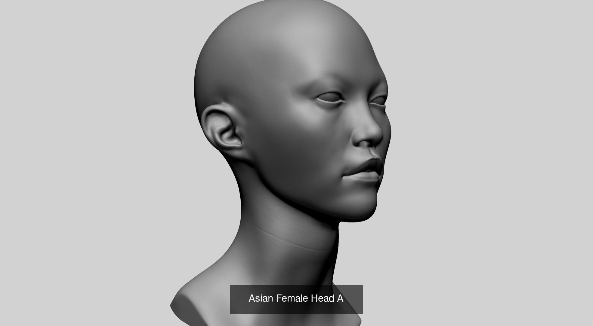 Female Head Collection v4  _55