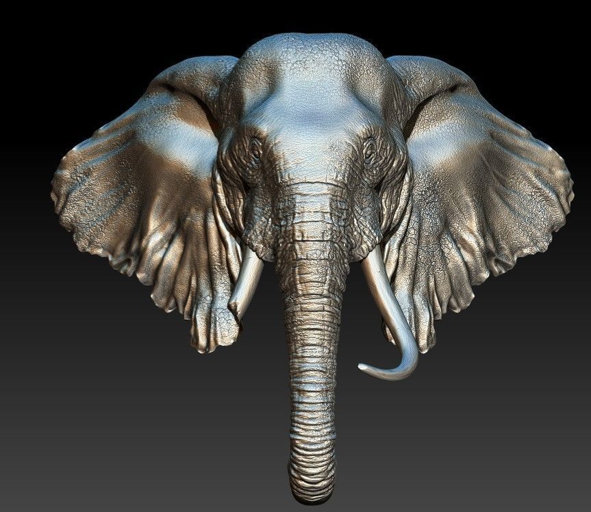 Elephand head 3D print model_1