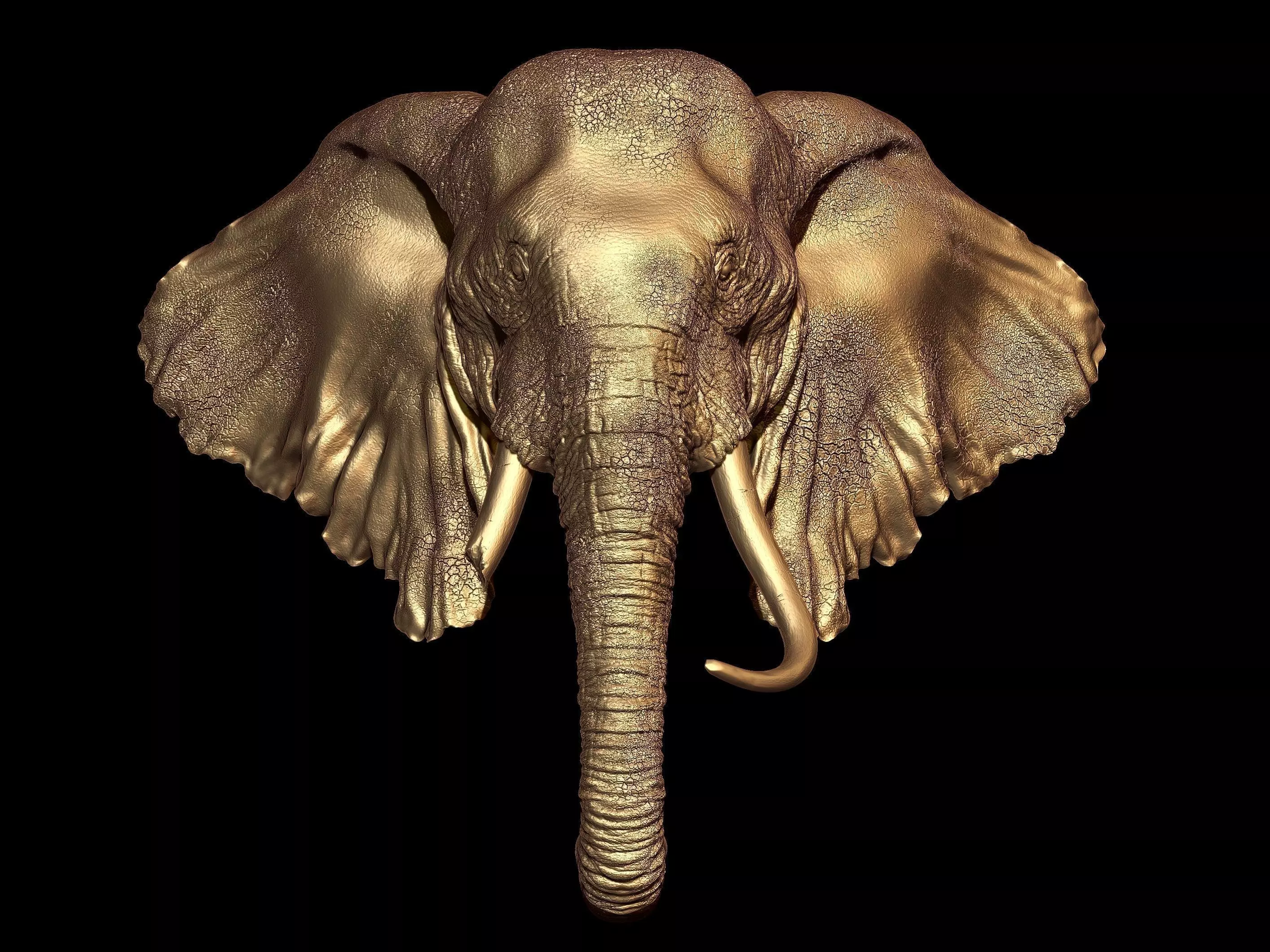 Elephand head 3D print model_0