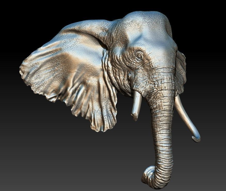 Elephand head 3D print model_2