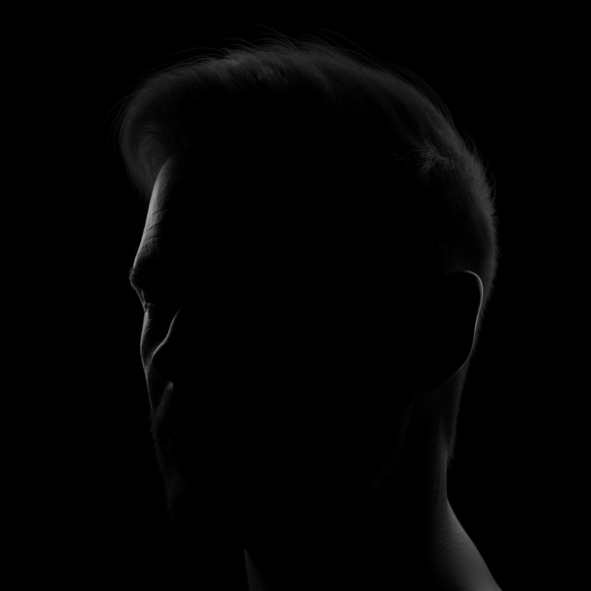 Chris Hemsworth Head with Particle Hair  3D model_3