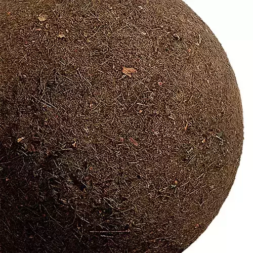 Ground Seamless Texture 2K - EXR 5 - JPG 5 Texture