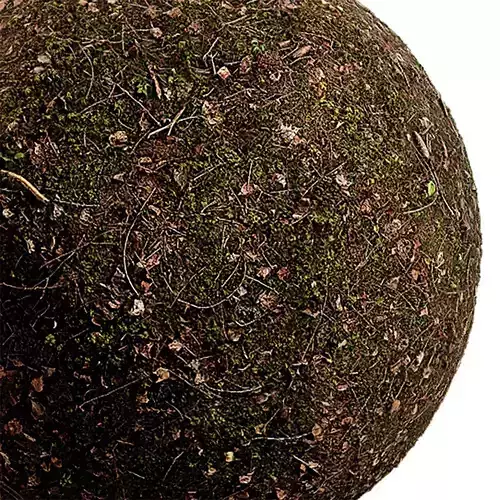 Ground Seamless Texture 2K - EXR 5 - JPG 5 Texture