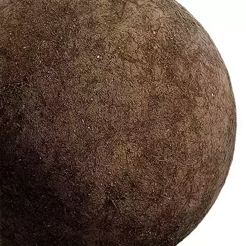 Ground Seamless Texture 2K - EXR 5 - JPG 5 Texture