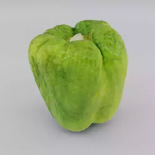 old shriveled pepper - Photoscan Low-poly 3D model