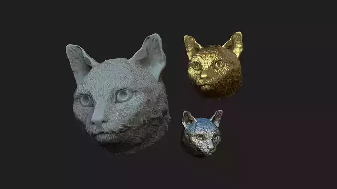 cat head 