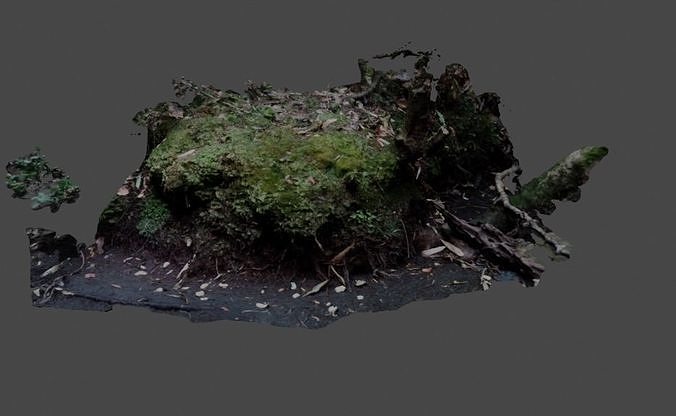 photogrammetric mossy rock 3D model
