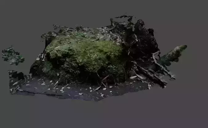 photogrammetric mossy rock