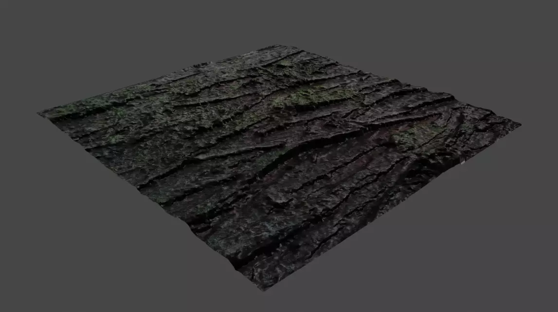 bark texture maps Free 3D model_0