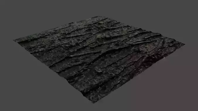 bark texture maps