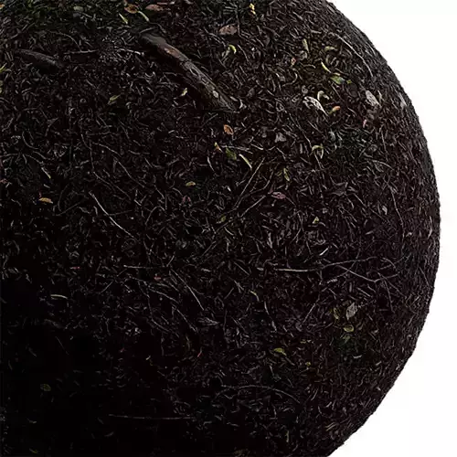 Ground Seamless Texture 2K - EXR 5 - JPG 5 Texture