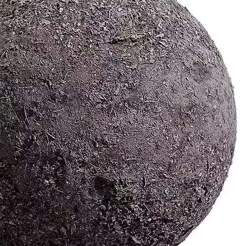 Ground Seamless Texture 2K - EXR 5 - JPG 5 Texture