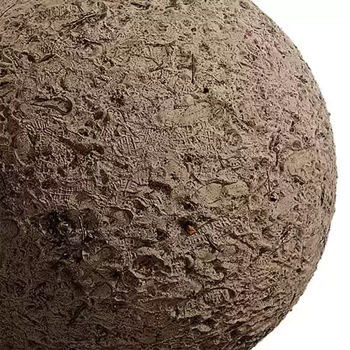 Ground Seamless Texture 2K - EXR 5 - JPG 5 Texture