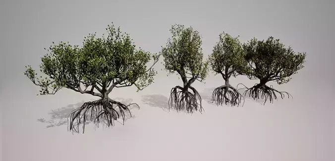 Mangrove 3D Models Low-poly Tropical Tree Low-poly 3D model
