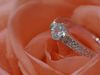 Exquisite Ring Jewellery Models bulk 3D print model 3D print model_2