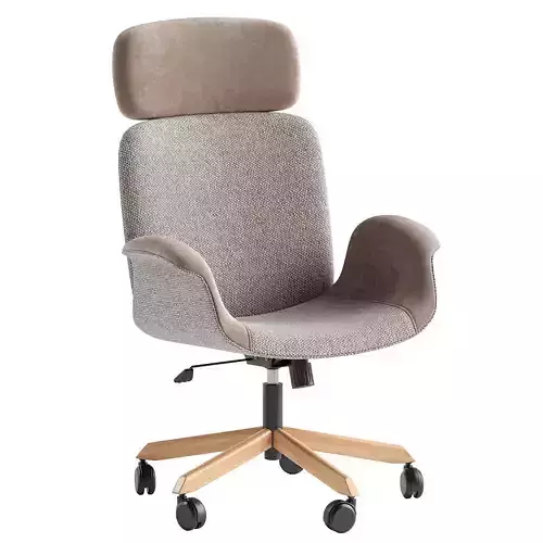 Amanda Chair President