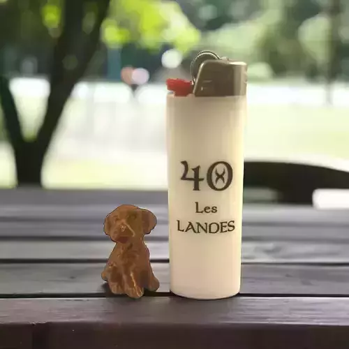 MICRO DOG EPAGNEUL BRETON 30MM Free 3D print model