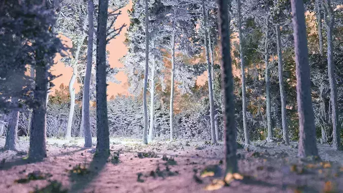 Forest clearing - Point cloud