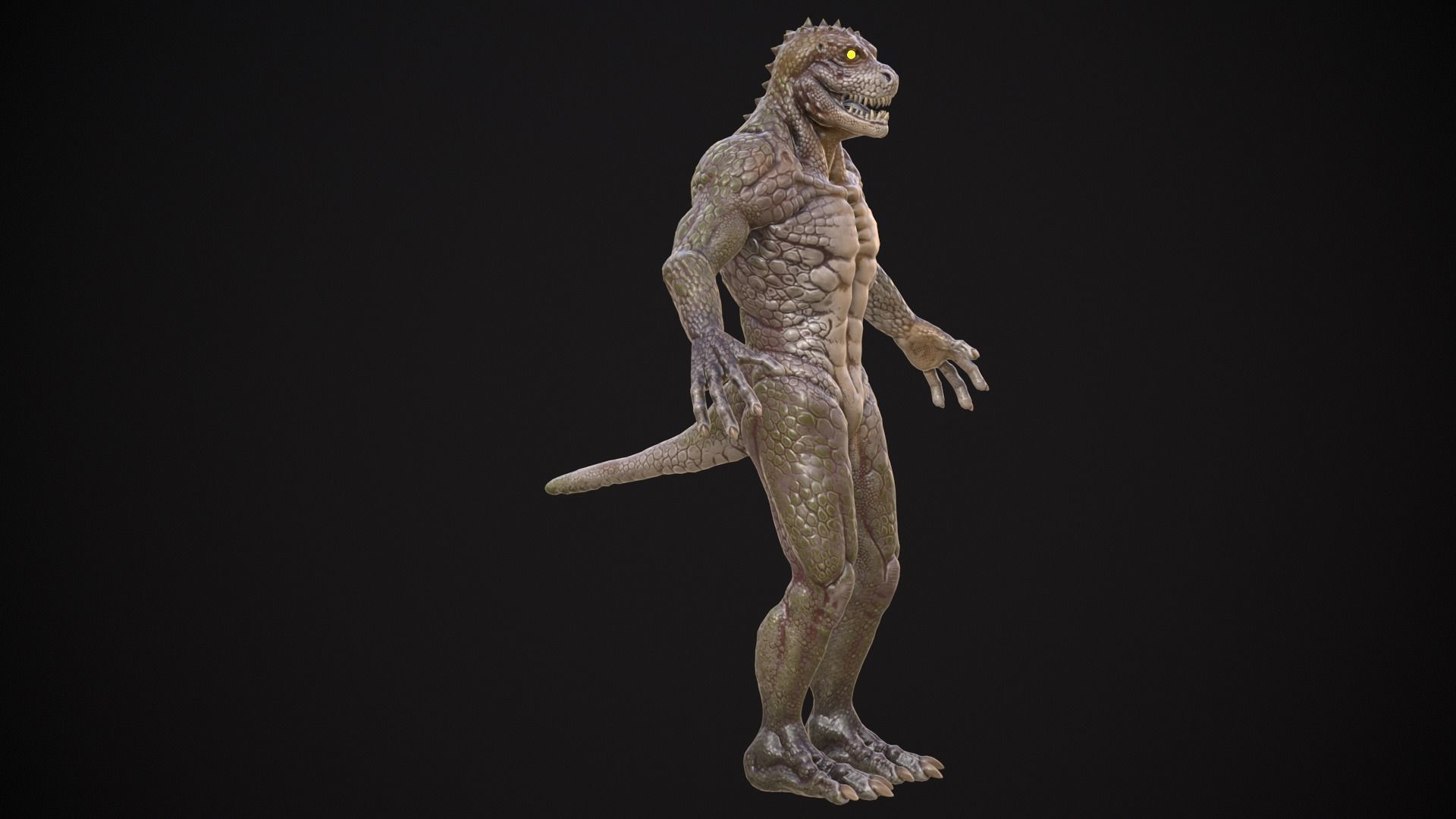 Lizard 2 Low-poly 3D model_7