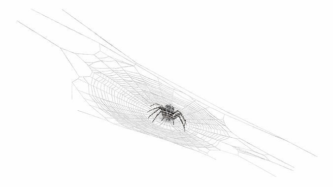 Round Web with Spider 3D model 6