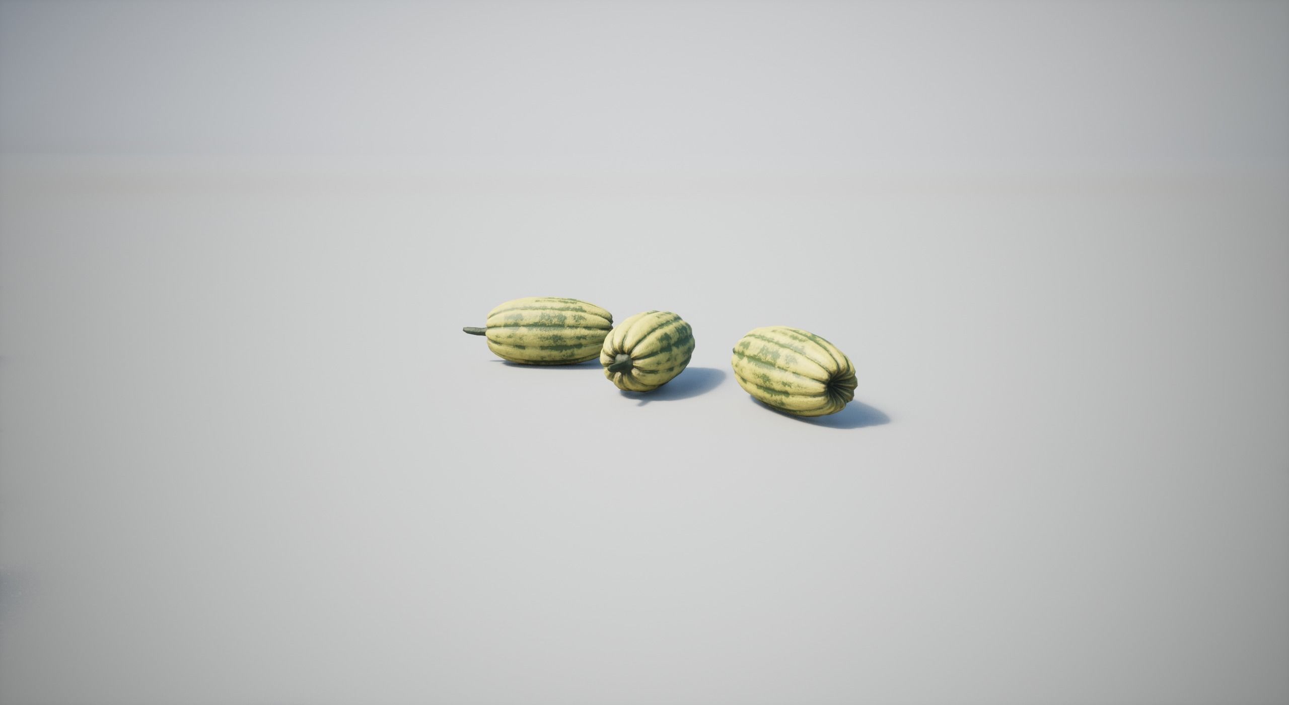 Squash Low-poly 3D model_7