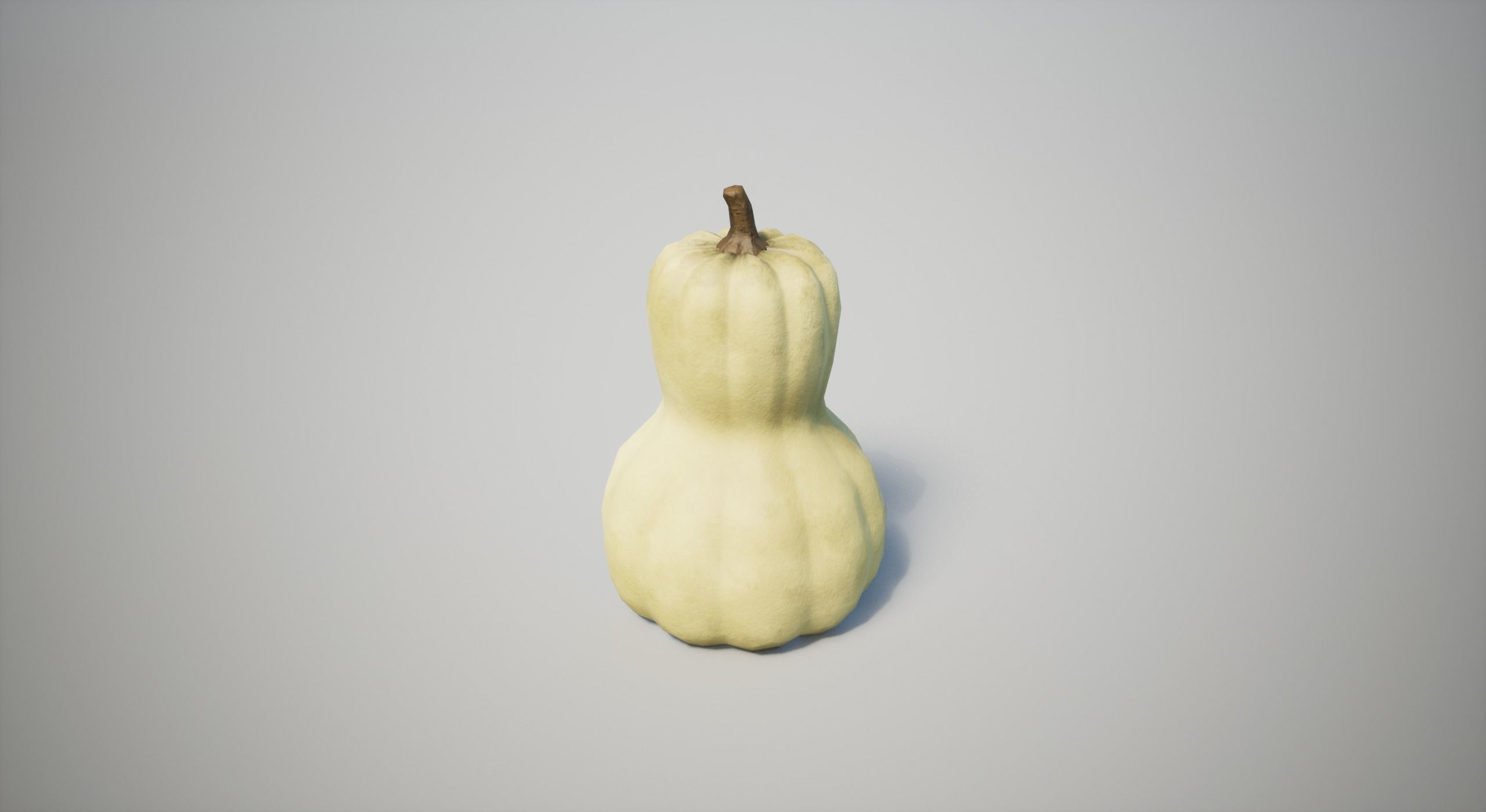 Squash Low-poly 3D model_9