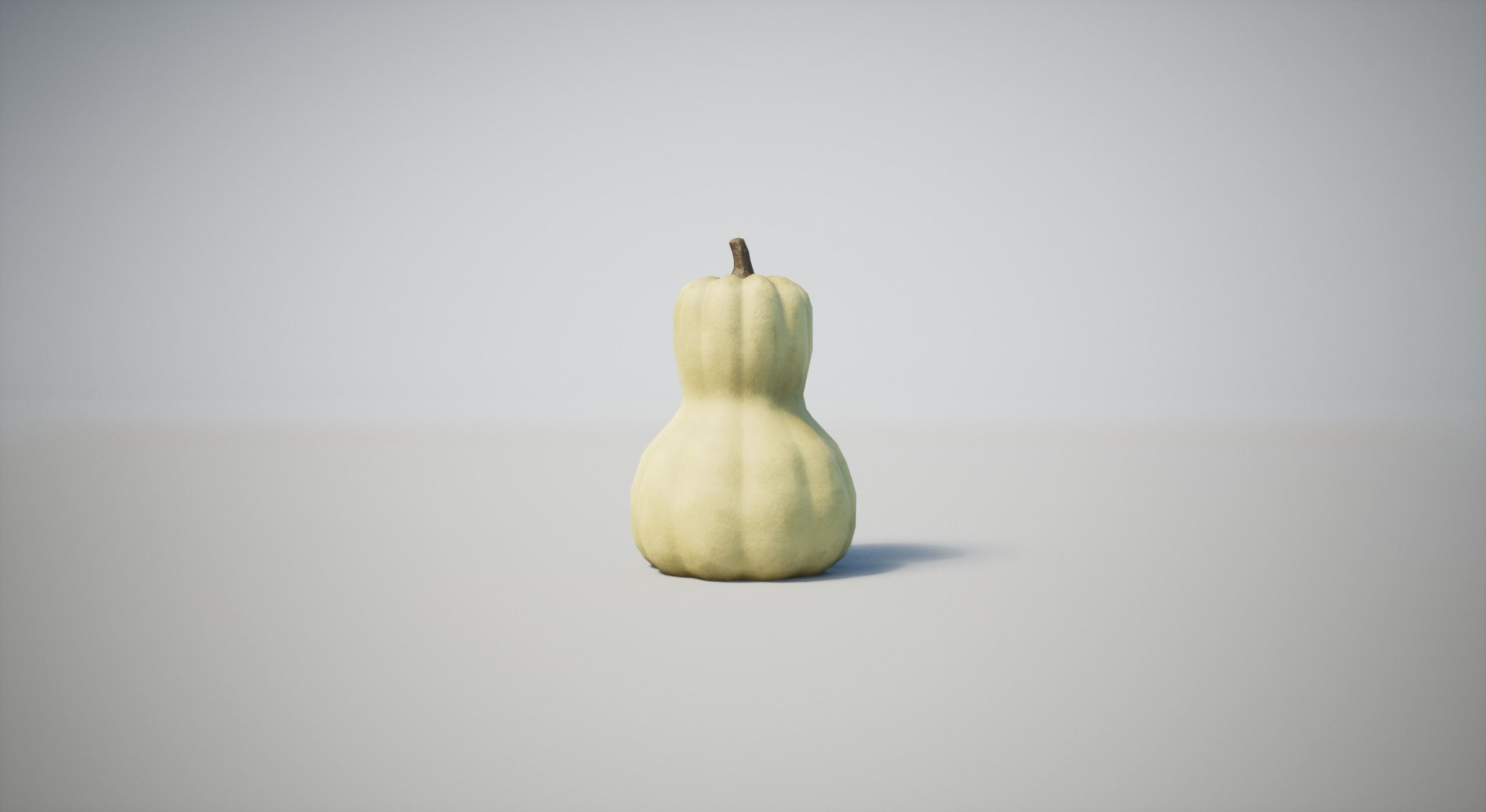 Squash Low-poly 3D model_12