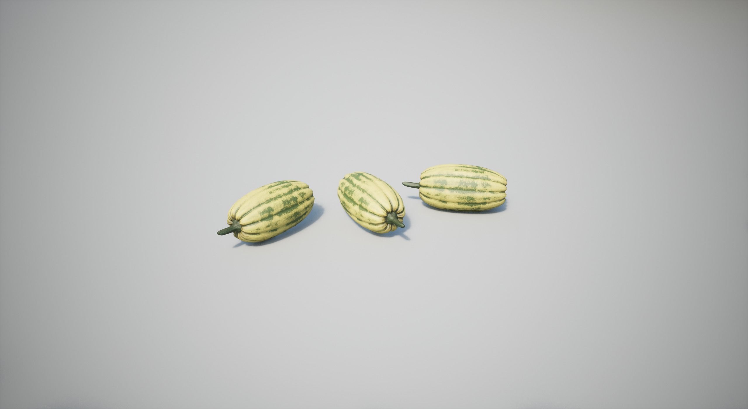 Squash Low-poly 3D model_6
