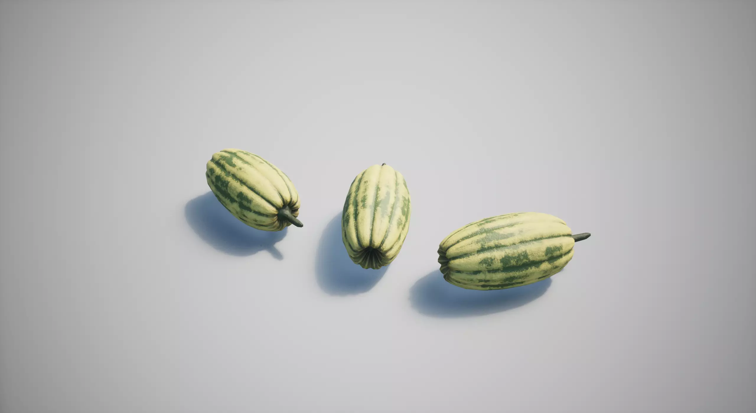Squash Low-poly 3D model_0
