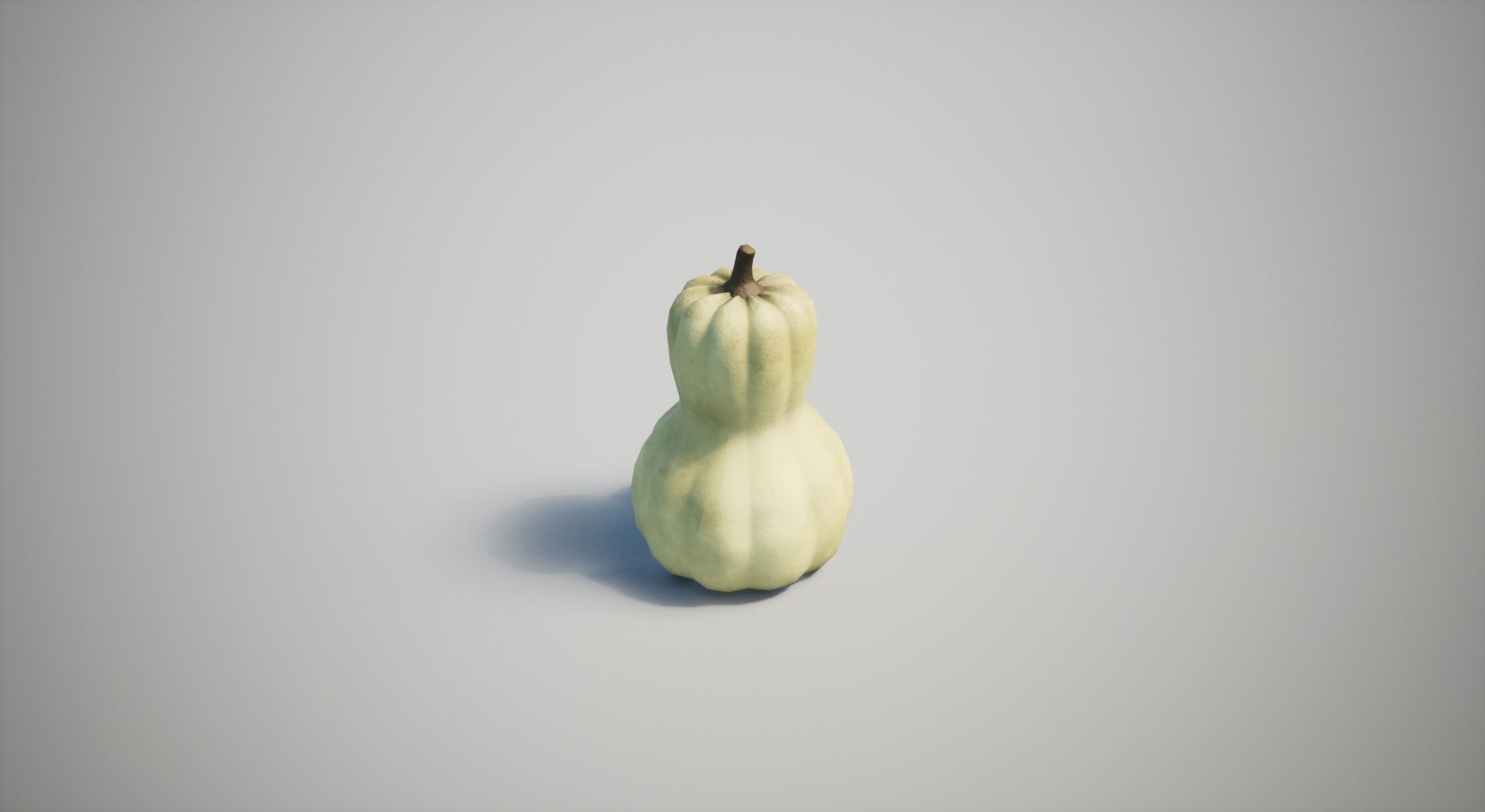 Squash Low-poly 3D model_11