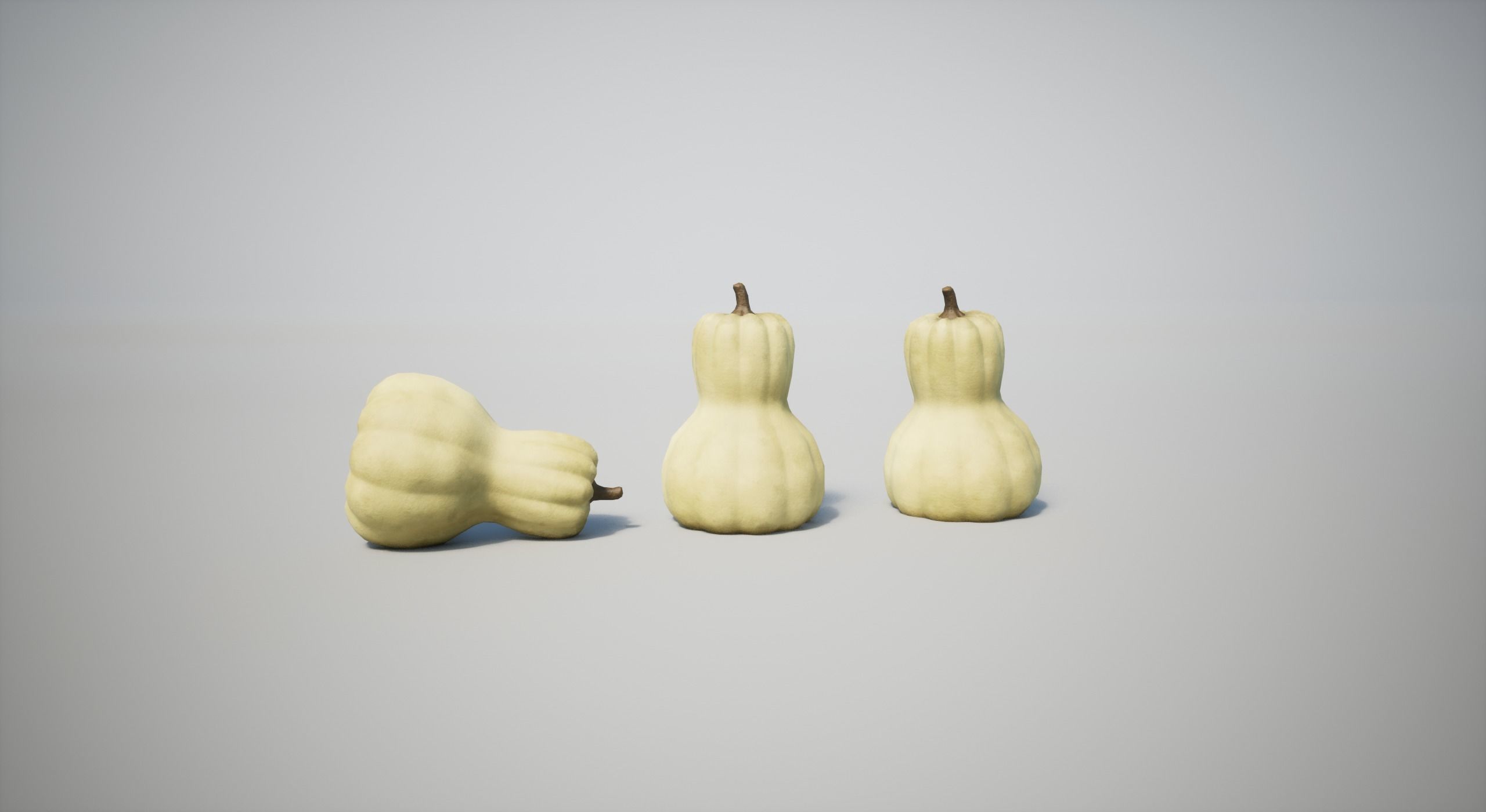 Squash Low-poly 3D model_2