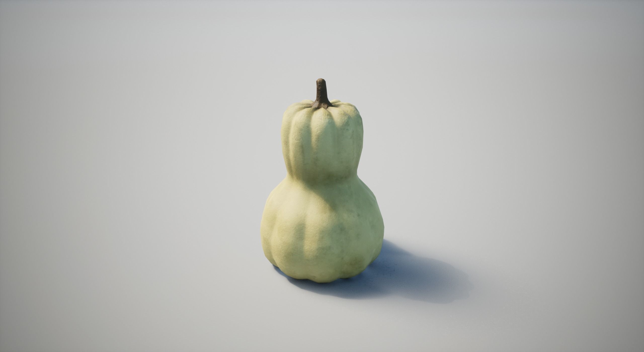 Squash Low-poly 3D model_10