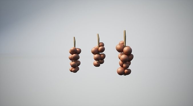 Onion Low-poly 3D model 5