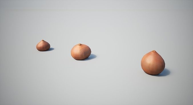 Onion Low-poly 3D model 7