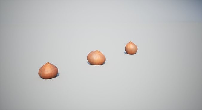 Onion Low-poly 3D model 6