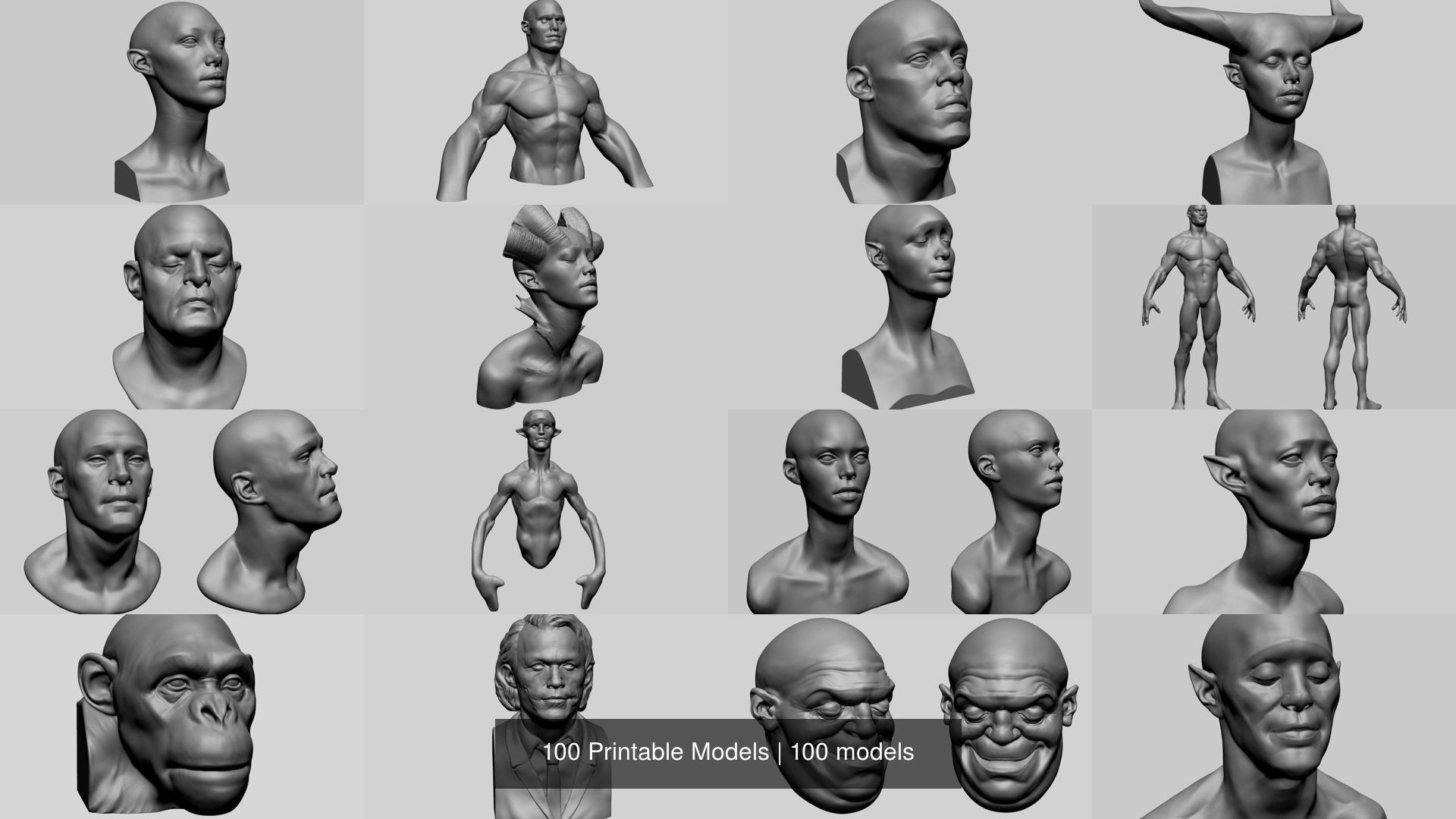 100 Printable Models 3D Model Collection_6