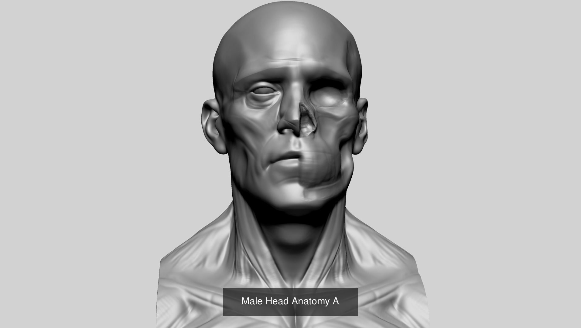 100 Printable Models 3D Model Collection_95