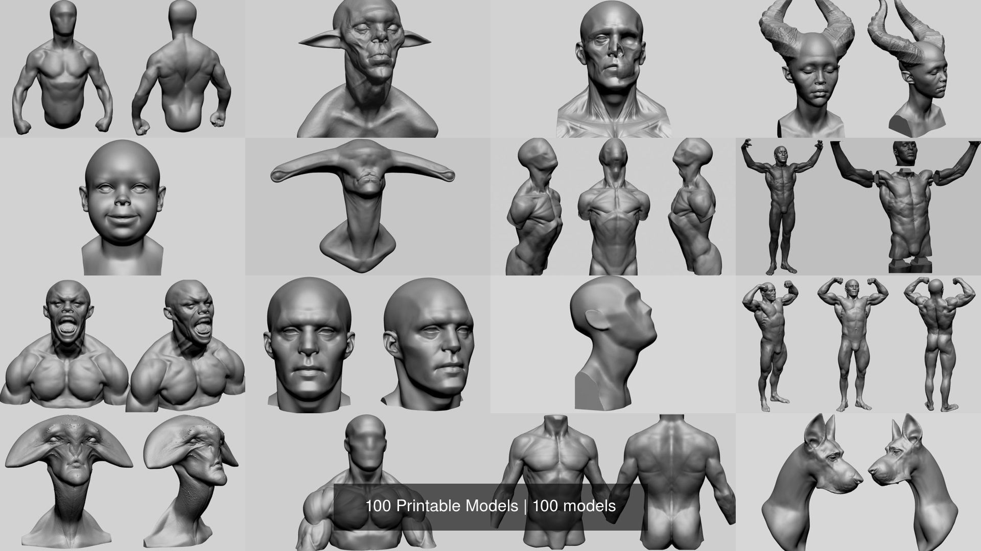 100 Printable Models 3D Model Collection_10