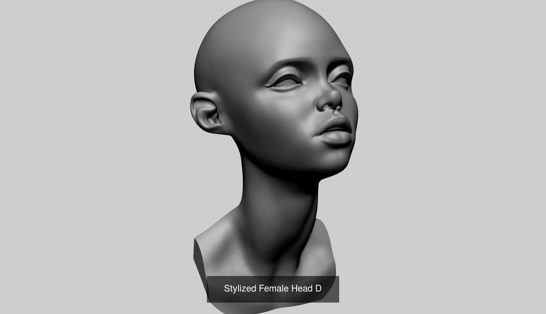 100 Printable Models 3D Model Collection_41