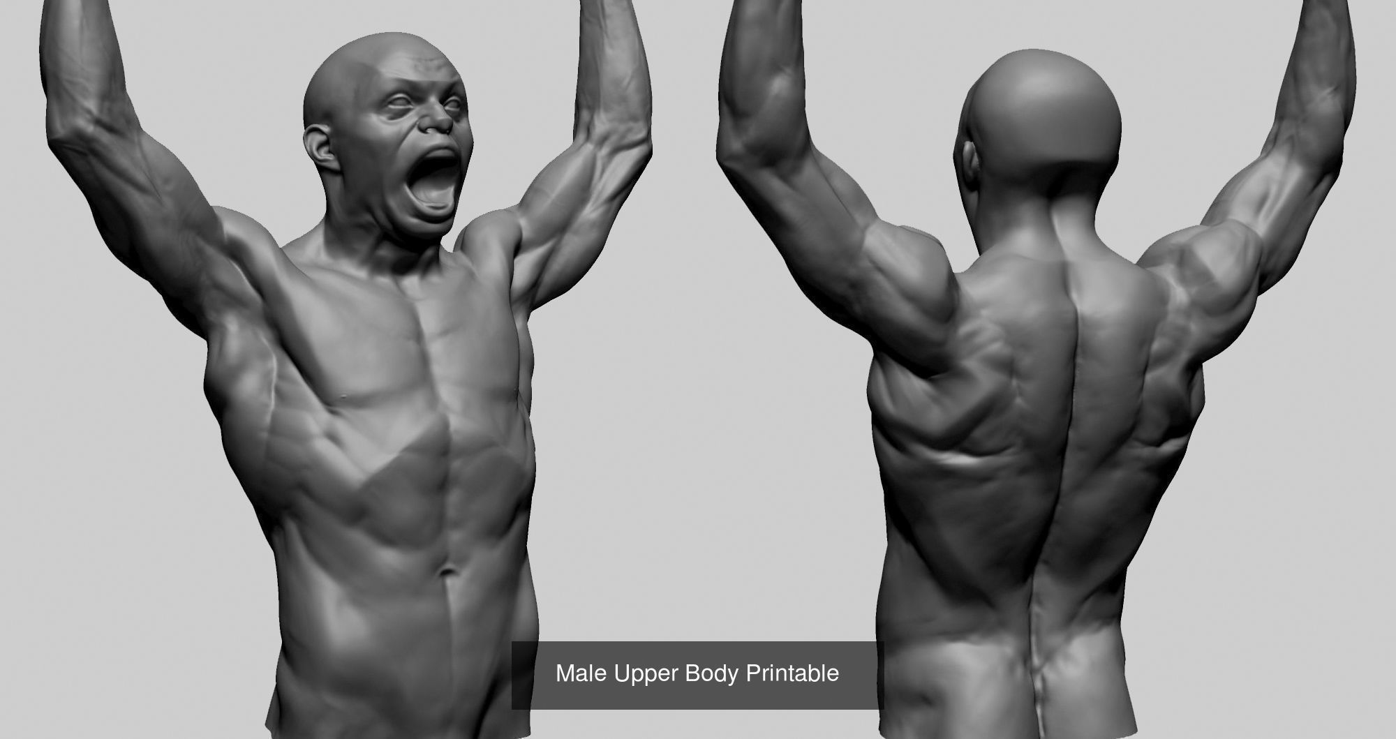 100 Printable Models 3D Model Collection_19