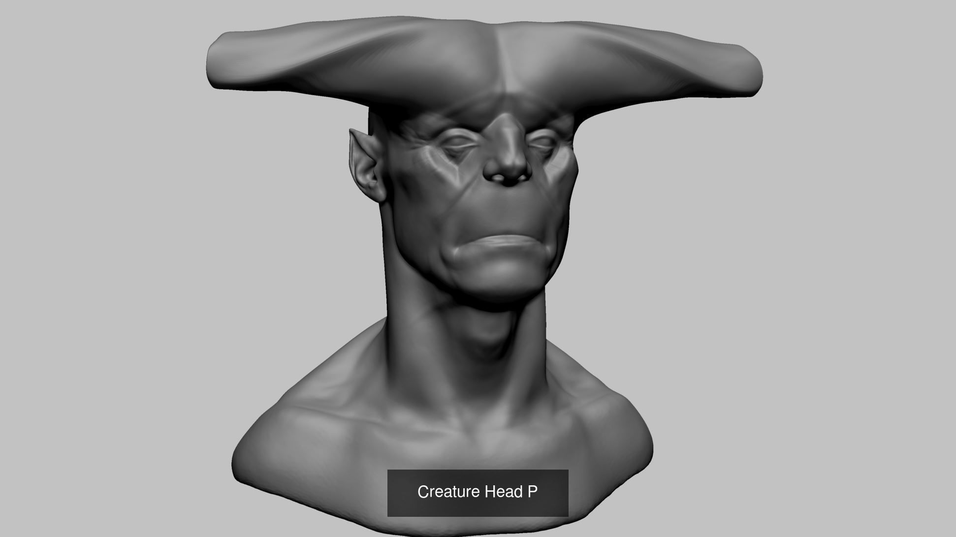 100 Printable Models 3D Model Collection_13