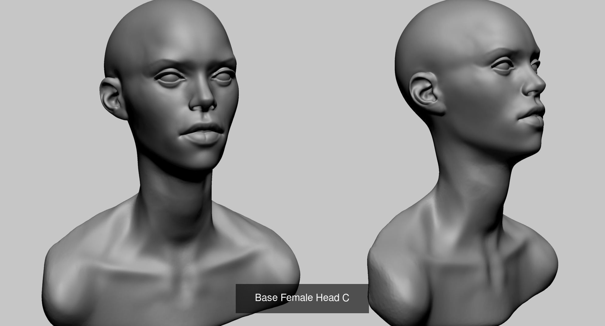 100 Printable Models 3D Model Collection_71
