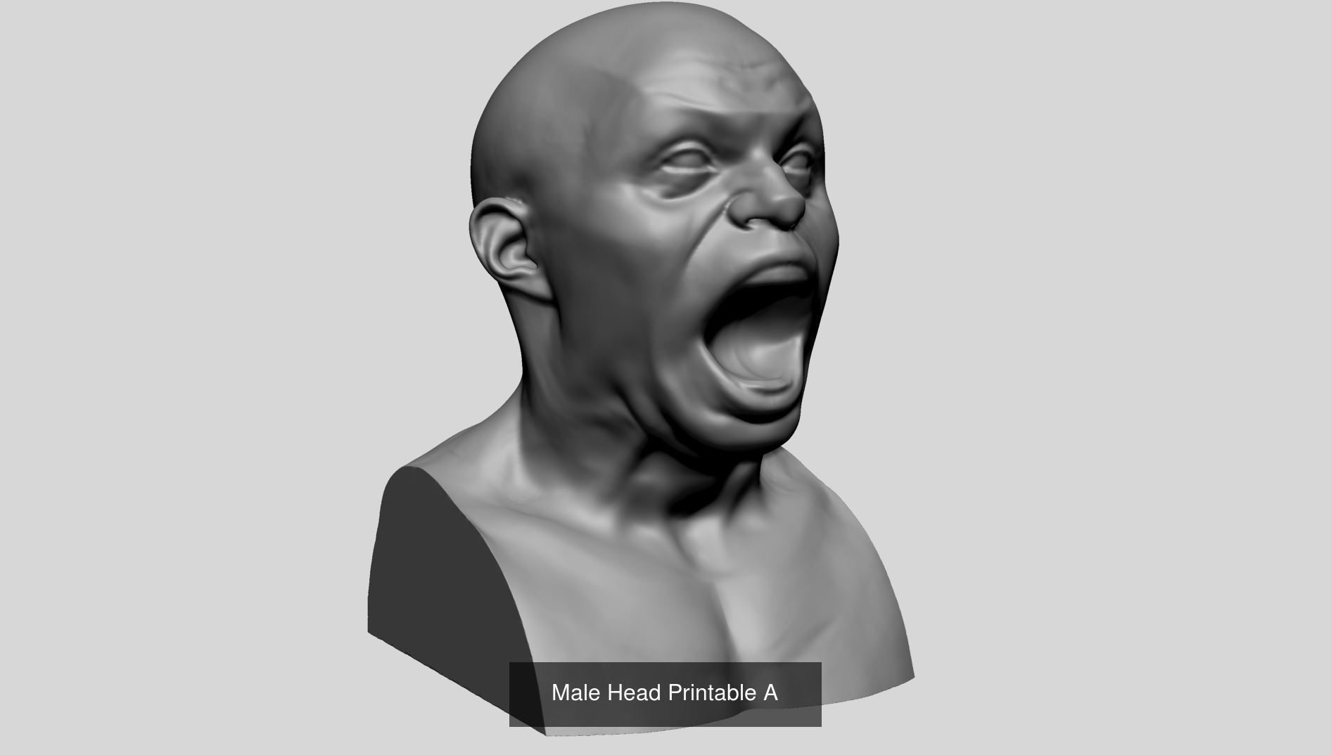 100 Printable Models 3D Model Collection_23