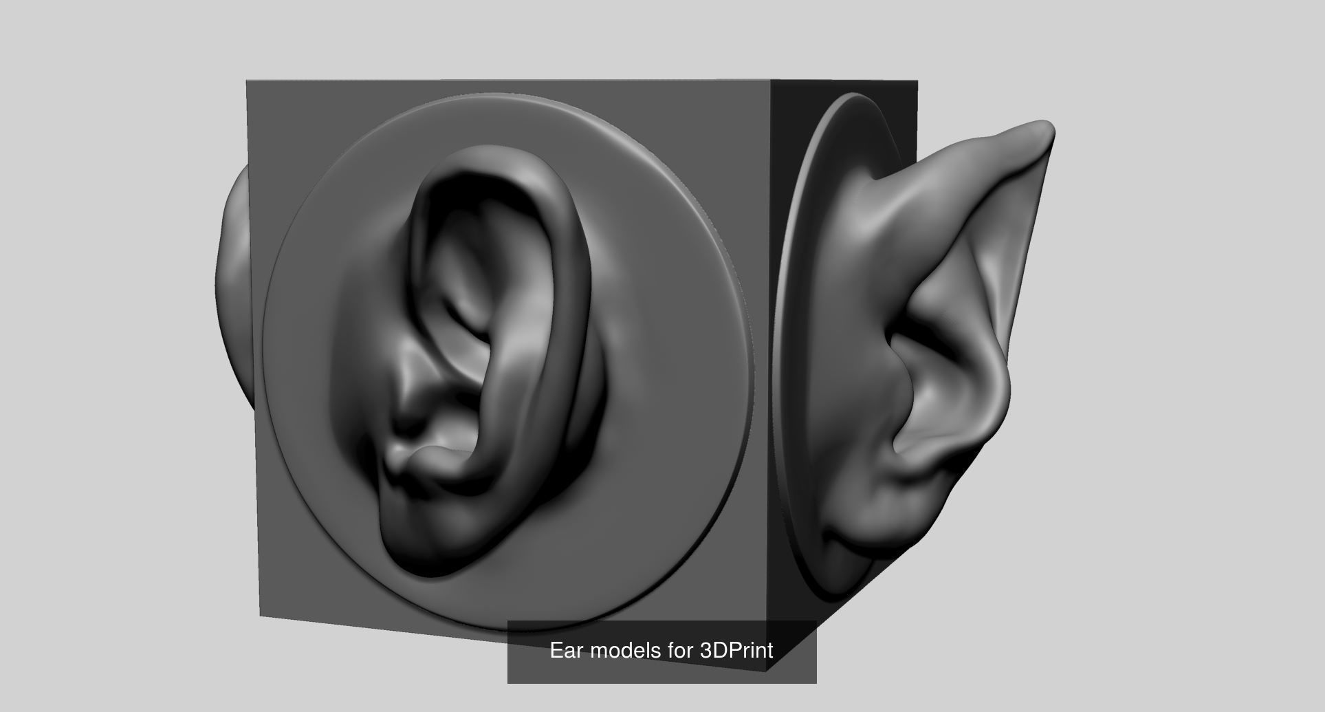 100 Printable Models 3D Model Collection_30